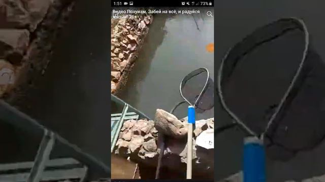 Рыбалка. Настоящая мечта рыбака!!!! смотреть онлайн