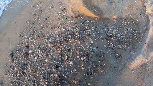 Она не давала мне скучать Рыбалка Белосарайская коса Ловля шамайки
