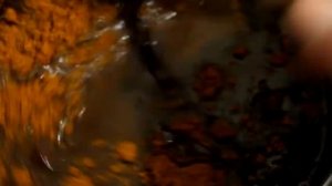 Как сделать, приготовить, облепиховое масло в домашних условиях. sea buckthorn oil at home