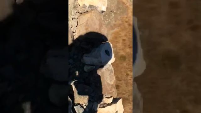 Ученики Кородинского медресе на экскурсии у Сторожевой башни смотреть онлайн