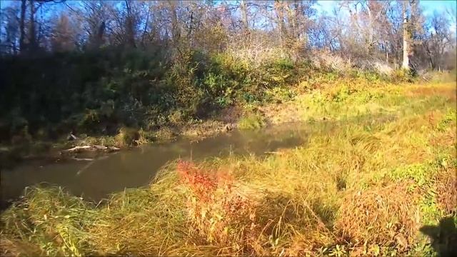 Рыбалка на трёх озёрах. 05.10.2020 г. смотреть онлайн