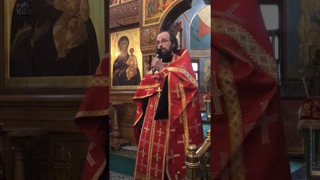 Отпевание иерея Александра Мишина смотреть онлайн