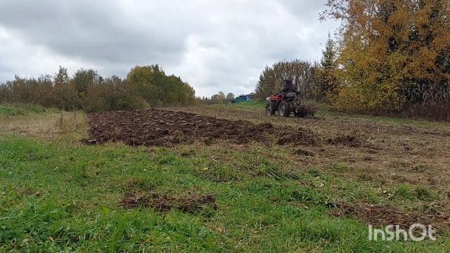 фацелию в мульчу и под плуг ? смотреть онлайн