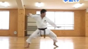 БАССАЙ ДАЙ. ОБУЧАЮЩИЕ ВИДЕО.