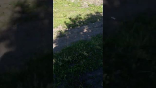 Ребята подскажите почему на небе луна посреди дня ? смотреть онлайн