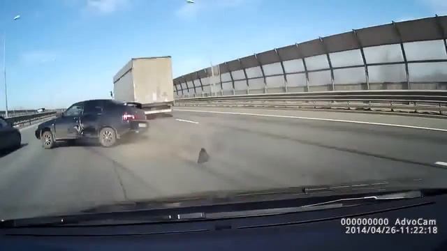 Ярая двенашка, а виноват логан смотреть онлайн