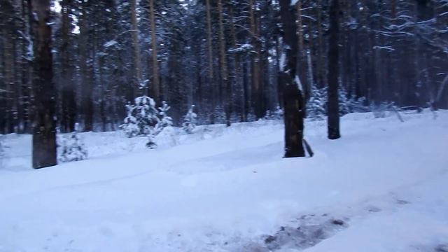 ЛОЖЬ председателя МОМРОиР Хализова смотреть онлайн