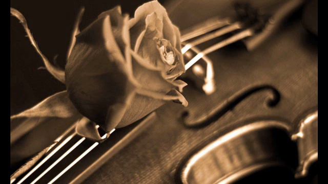 Samvel Yervinyan ~ Chi Mai смотреть онлайн