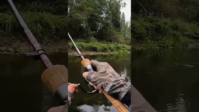 КАРЕЛЬСКАЯ ЩУЧКА на спиннинг 🎣 #short #карелия #щука смотреть онлайн