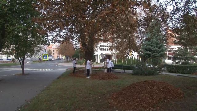 В Пинске 22 сентября прошел общегородской субботник смотреть онлайн