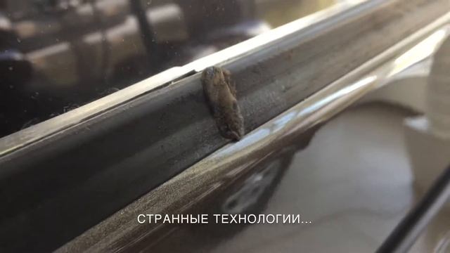 Новый УАЗ не радует глаз смотреть онлайн