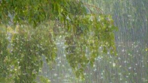 Середина лета (Слова и музыка - В. Полищук)