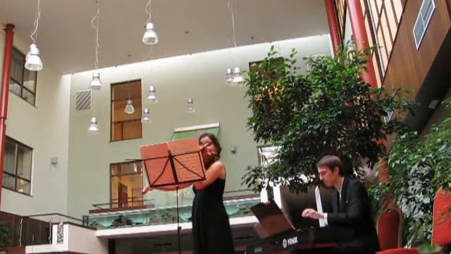 Dvorak: Sonatina for Violin and Piano - 2. Larghetto смотреть онлайн