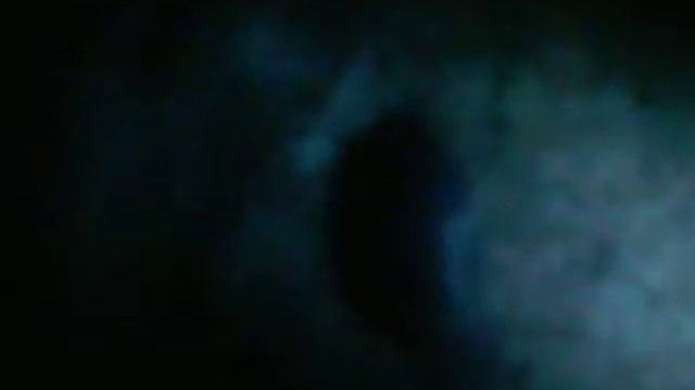 Огромная мокрица смотреть онлайн