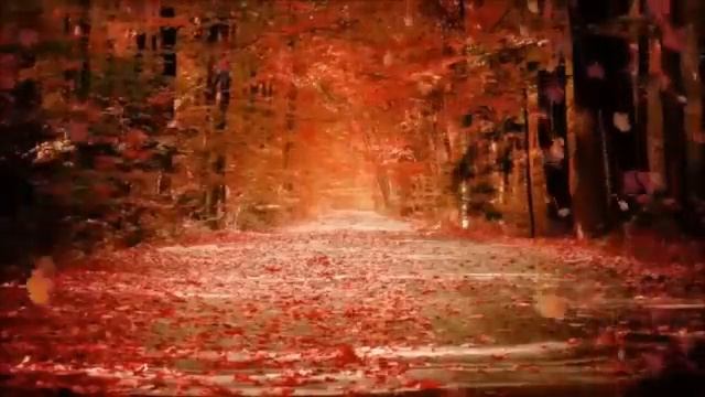 Осенние деньки (Е. Дога) - Наташа Паюнен смотреть онлайн