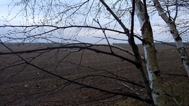 Крик журавля смотреть онлайн