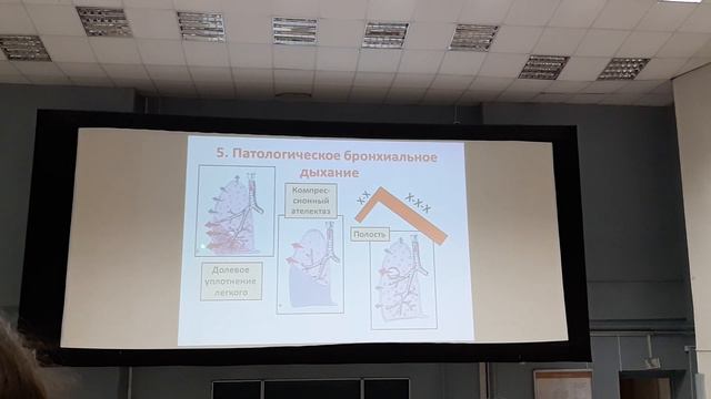 Пропедевтика. Перкуссия, аускультация. Струтынский. Часть 3 смотреть онлайн