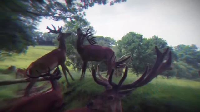 Mercedes GLA Background Stories смотреть онлайн