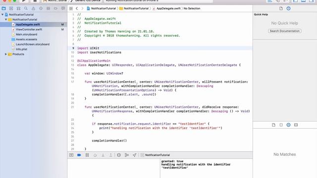 Push Notifications and Local Notifications (Xcode 9, iOS 11) смотреть онлайн
