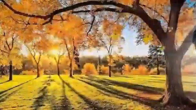 Пройдут года, пройдут года... Исп. Альберт Салтыков смотреть онлайн