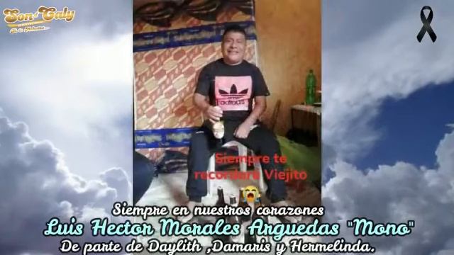 SE FUE EL MONO LUIS HECTOR MORALES ARGUEDAS смотреть онлайн