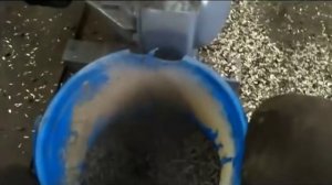 Гранулятор для комбикорма. Предпродажный показ.