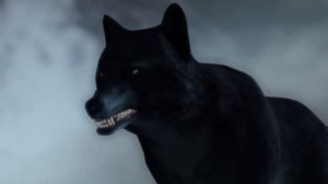 Мельница.Оборотень