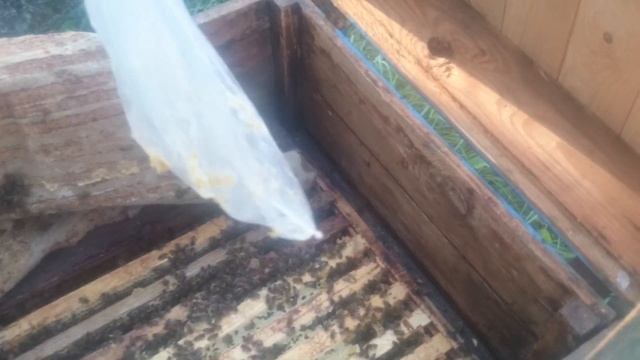 экспериментальные ульи смотреть онлайн