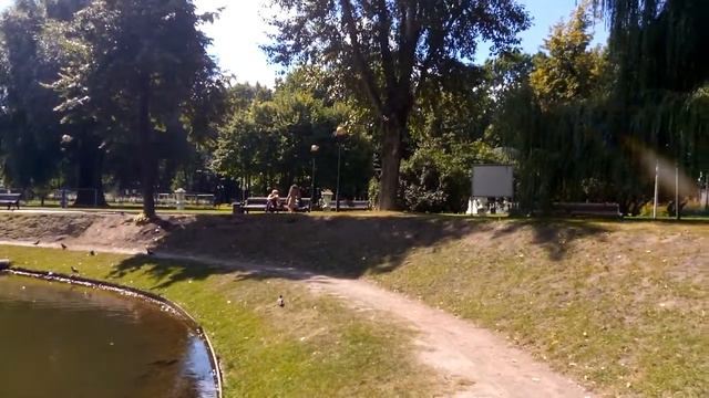 Рыба Белый Амур в Екатерининском парке в Москве смотреть онлайн