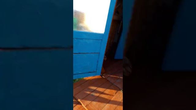 Хан купается в бассейне смотреть онлайн