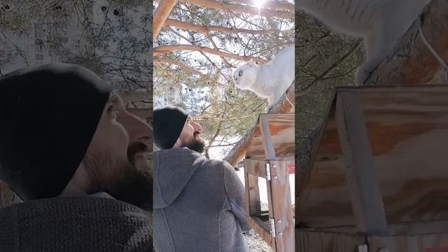 Март 2023. Мурчик впервые за год вышел с нами гулять 🐈 а Яса прячется и боится 🙈 смотреть онлайн