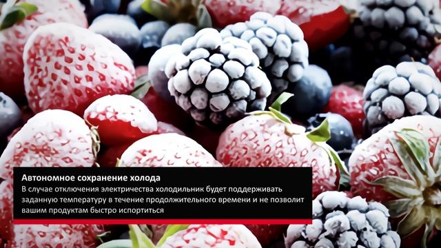 Холодильная камера Hansa Retro FM1337.3RAA смотреть онлайн