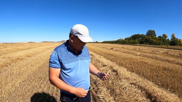 Серик Сагандыков о сортах Токката и Корнетто смотреть онлайн