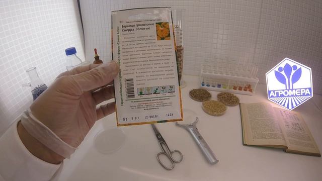 Бархатцы прямостоячие Сиерра Золотые. Семена Алтая смотреть онлайн