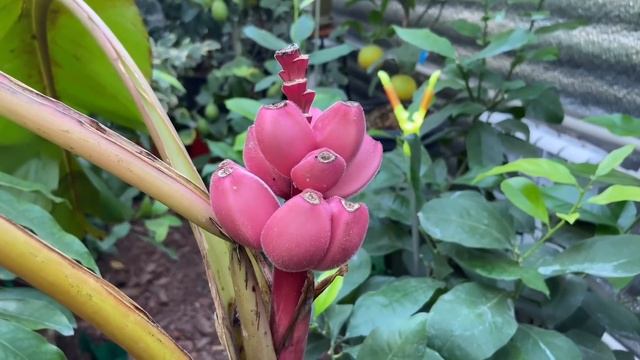 Ремонтные Комбинации