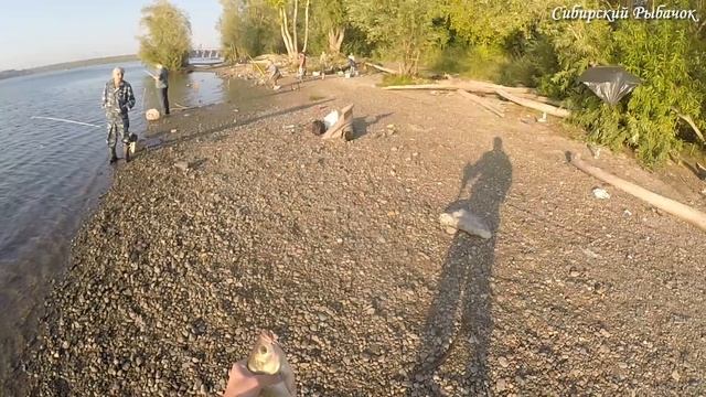 Ловля ЯЗЯ на ПЕНОПЛАСТ на реке Обь (ГЭС) смотреть онлайн