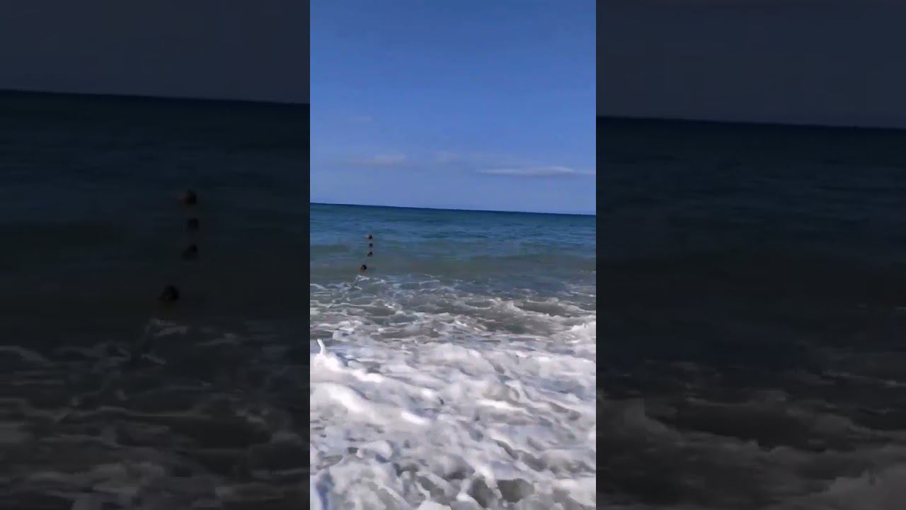 О погоде на 7 января в Лазаревском #shorts #погодалазаревское #сочи #погодасочи #зимавсочи смотреть онлайн