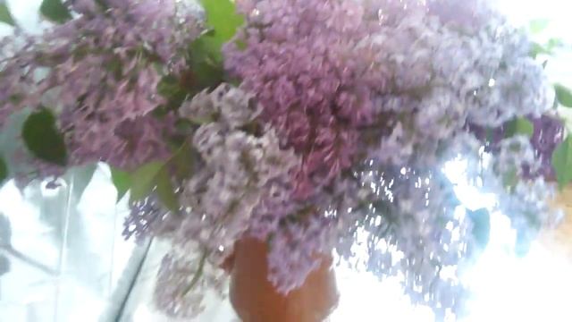 букет после переезда смотреть онлайн