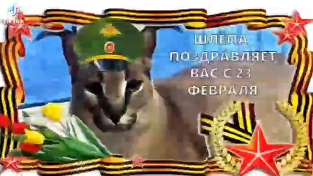 защитники пельменей смотреть онлайн