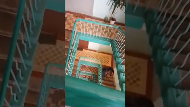 @джордж маклей смотреть онлайн