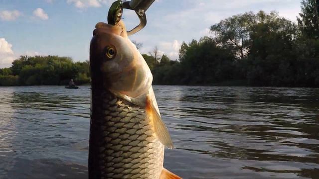 Каждому рыбаку свой ГОЛАВЛЬ! /р.Мокша/Мордовия смотреть онлайн