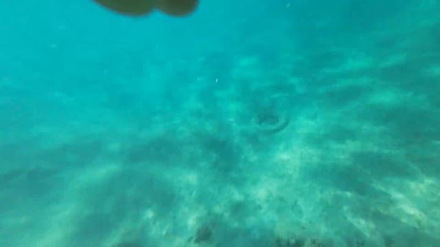 Pickalbatros Jungle Aqua Park By Neverland (hurghada)