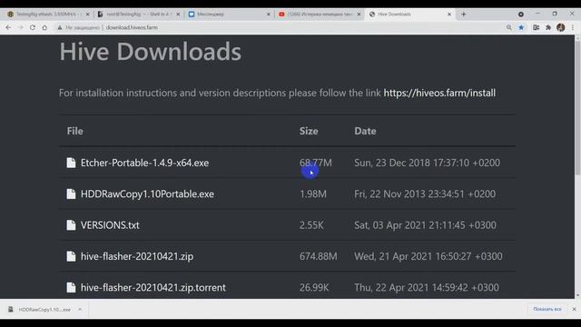 Запись HiveOS на SSD