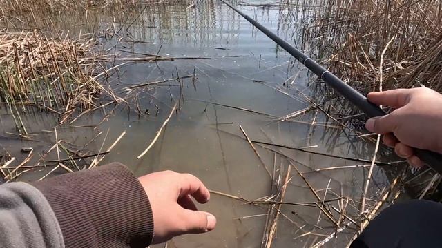 РЫБАЛКА С ПОПЛАВКОМ НА КАРАСЕЙ. 20 лет не был на поплавочной рыбалке. смотреть онлайн