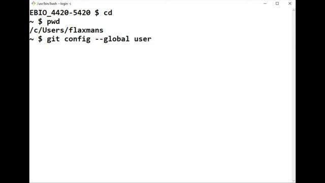 Computational Biology: Global Configurations for using git on your local computer смотреть онлайн