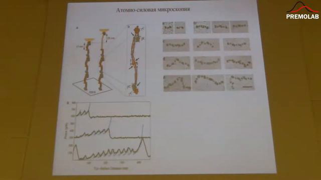 Я.А.Холодов. Вычислительная биология & Моделирование транспортных потоков... 14 апреля 2015