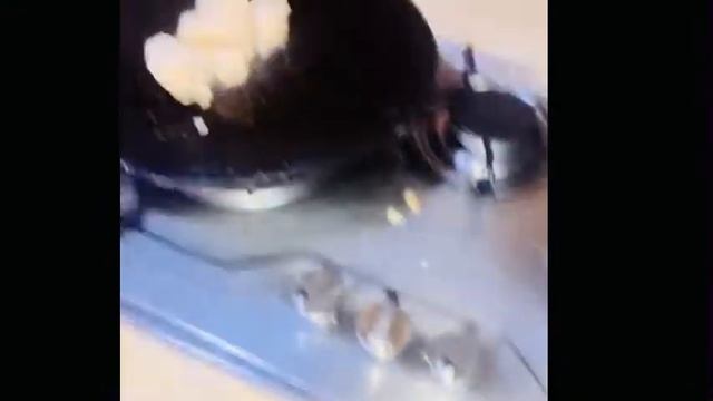 YouTube SEO Compiled Course 2021 Get More Views On Youtube Videos Bank Views Fan?