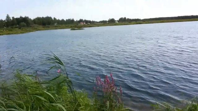 Рыбалка на озере Большое Кайварное в Тюмени на Велижанском тракте смотреть онлайн