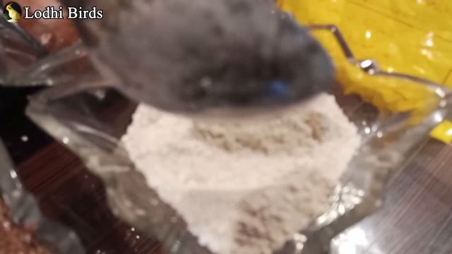 Best Breeding Food For Java, Dove & Finches | Urdu/Hindi | Lodhi Birds смотреть онлайн