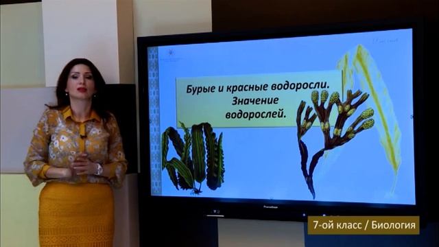“Dərs vaxtı”: 7-ci sinif dərsləri (rus bölməsi) (28.10.2021) смотреть онлайн